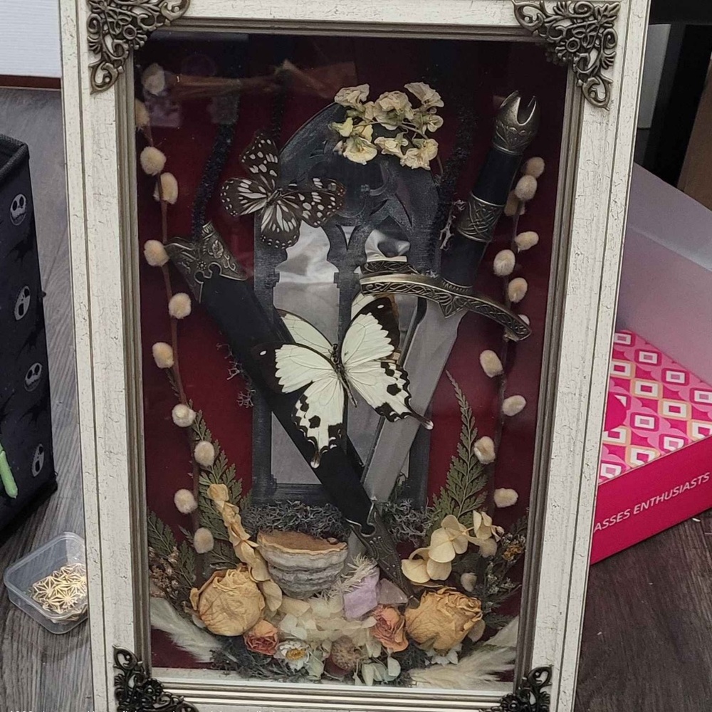 Large framed real butterfly and dagger display